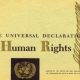 La violazione dei Diritti Umani